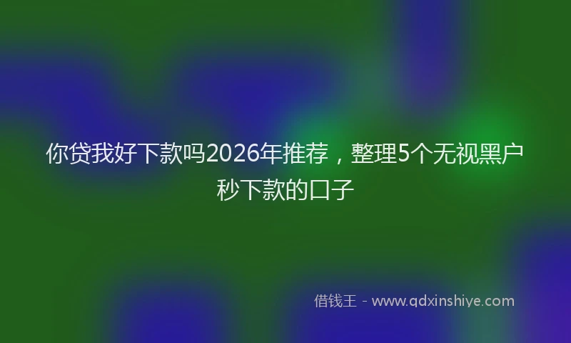 你贷我好下款吗2026年推荐，整理5个无视黑户秒下款的口子