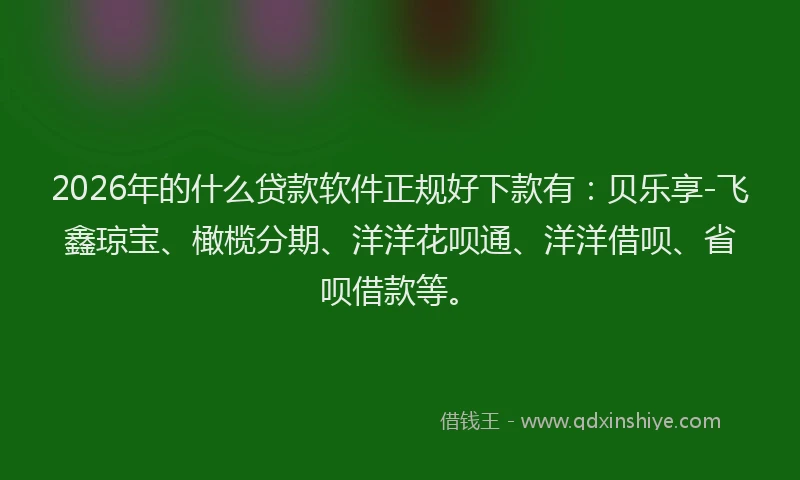 2026年的什么贷款软件正规好下款有：贝乐享-飞鑫琼宝、橄榄分期、洋洋花呗通、洋洋借呗、省呗借款等。
