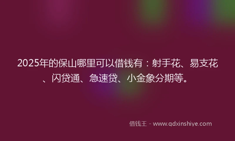 2025年的保山哪里可以借钱有：射手花、易支花、闪贷通、急速贷、小金象分期等。