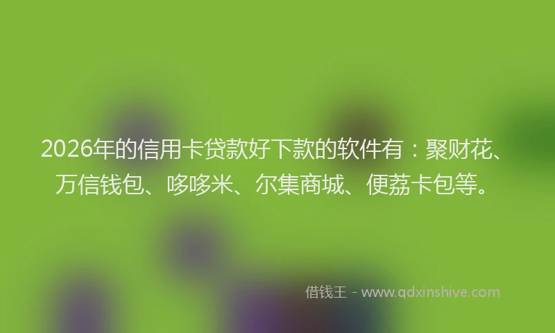 2026年的信用卡贷款好下款的软件有：聚财花、万信钱包、哆哆米、尔集商城、便荔卡包等。