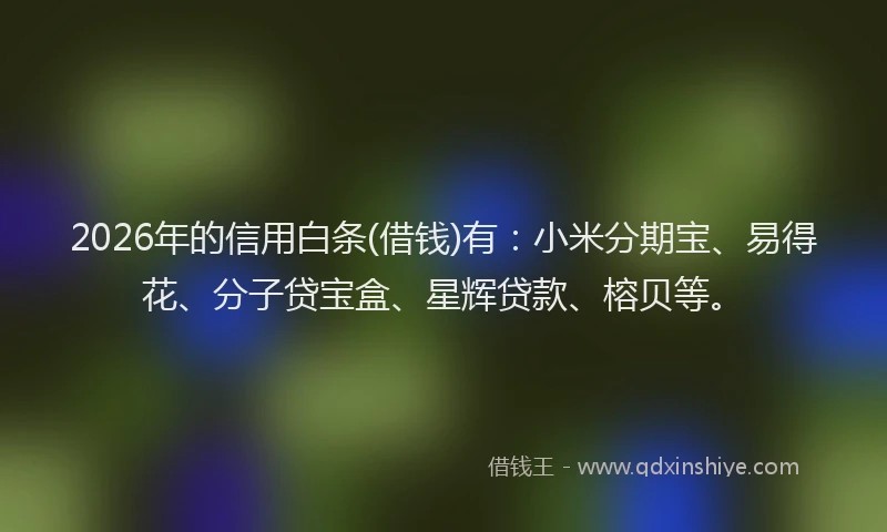 2026年的信用白条(借钱)有：小米分期宝、易得花、分子贷宝盒、星辉贷款、榕贝等。