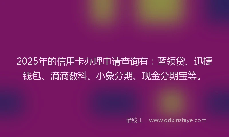 2025年的信用卡办理申请查询有：蓝领贷、迅捷钱包、滴滴数科、小象分期、现金分期宝等。