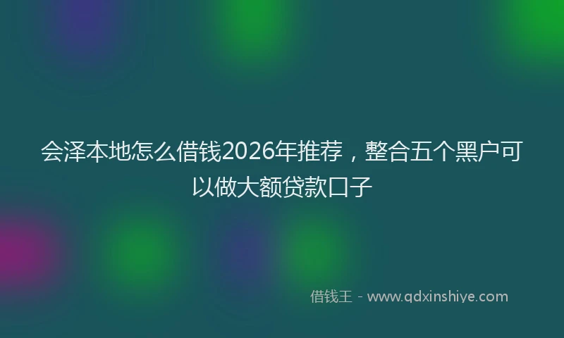 会泽本地怎么借钱2026年推荐，整合五个黑户可以做大额贷款口子