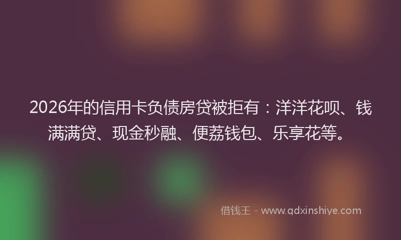 2026年的信用卡负债房贷被拒有：洋洋花呗、钱满满贷、现金秒融、便荔钱包、乐享花等。