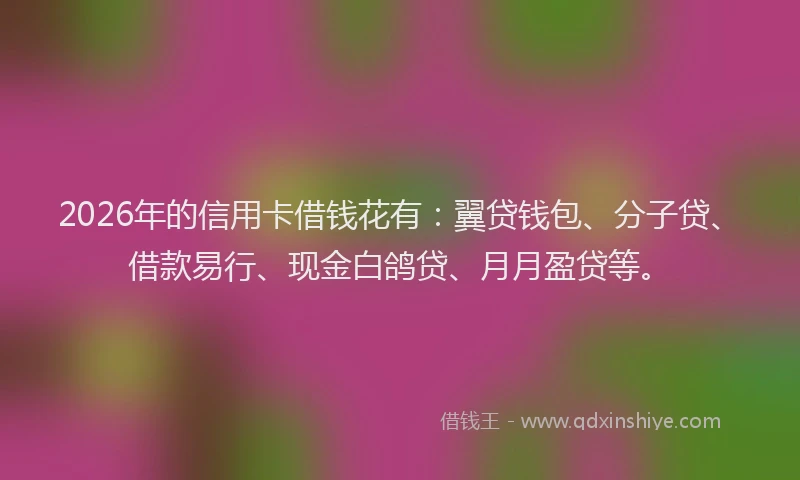 2026年的信用卡借钱花有:翼贷钱包、分子贷、借款易行、现金白鸽贷、月月盈贷等。