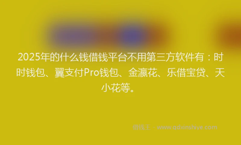 2025年的什么钱借钱平台不用第三方软件有：时时钱包、翼支付Pro钱包、金瀛花、乐借宝贷、天小花等。