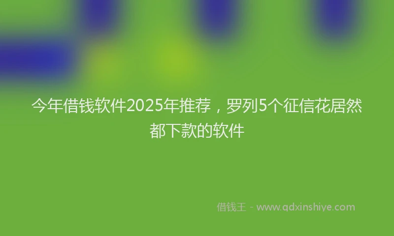 今年借钱软件2025年推荐，罗列5个征信花居然都下款的软件