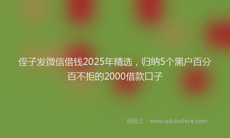 侄子发微信借钱2025年精选，归纳5个黑户百分百不拒的2000借款口子
