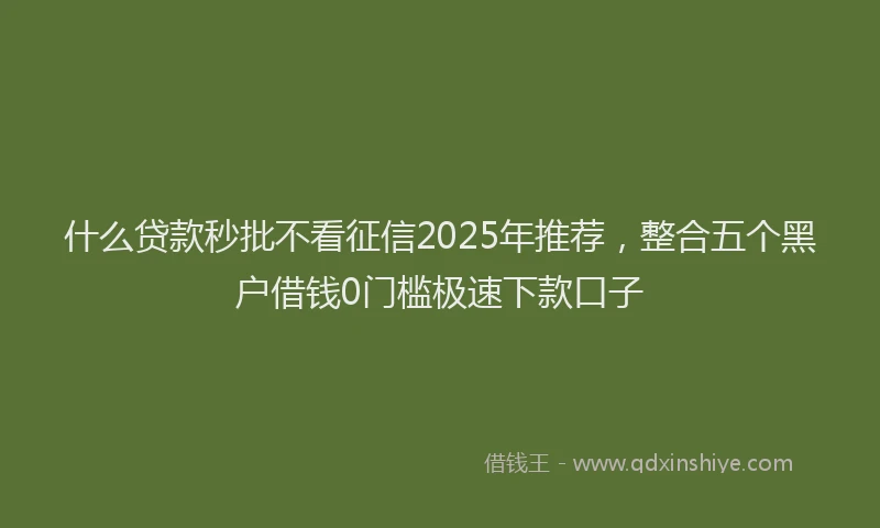 什么贷款秒批不看征信2025年推荐，整合五个黑户借钱0门槛极速下款口子