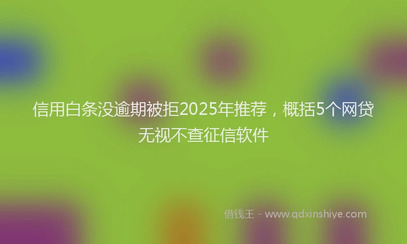 信用白条没逾期被拒2025年推荐，概括5个网贷无视不查征信软件