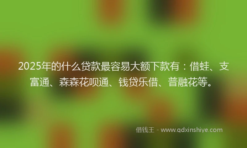 2025年的什么贷款最容易大额下款有：借蛙、支富通、森森花呗通、钱贷乐借、普融花等。