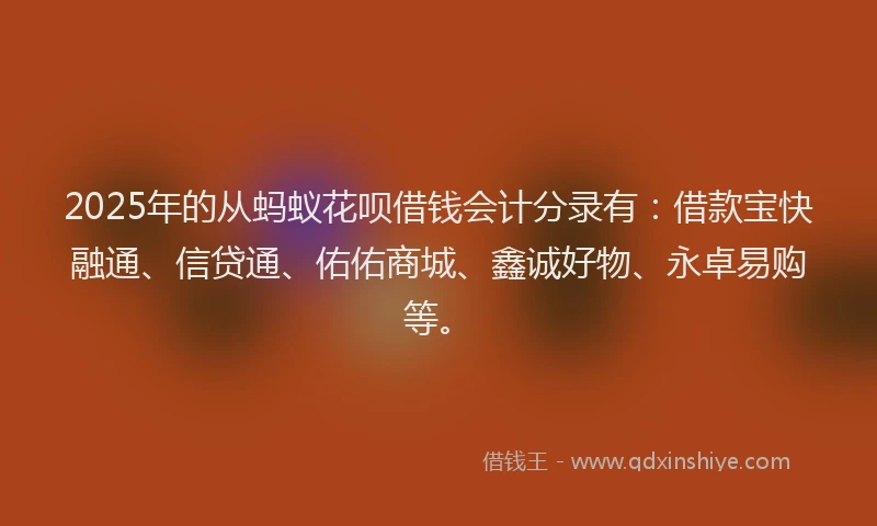 2025年的从蚂蚁花呗借钱会计分录有:借款宝快融通、信贷通、佑佑商城、鑫诚好物、永卓易购等。