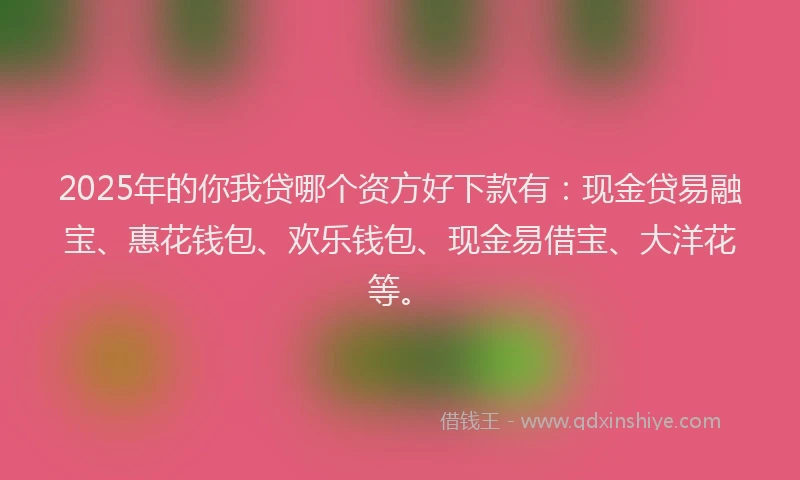 2025年的你我贷哪个资方好下款有：现金贷易融宝、惠花钱包、欢乐钱包、现金易借宝、大洋花等。
