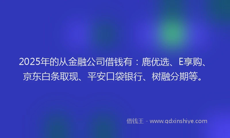 2025年的从金融公司借钱有:鹿优选、E享购、京东白条取现、平安口袋银行、树融分期等。