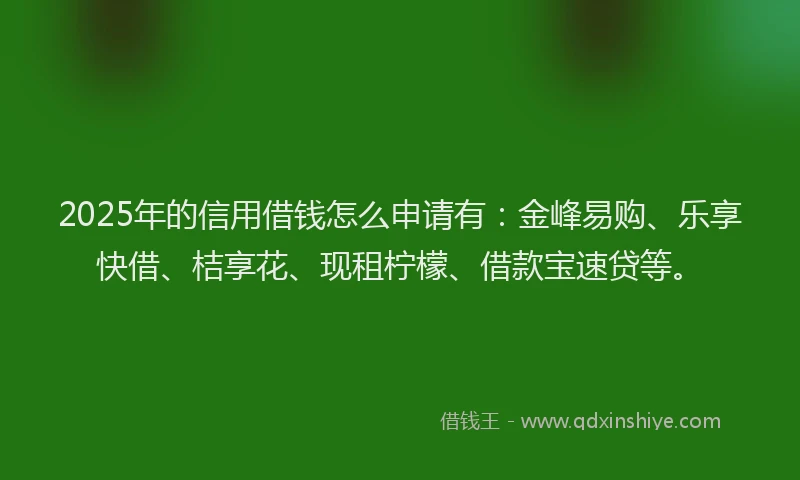 2025年的信用借钱怎么申请有:金峰易购、乐享快借、桔享花、现租柠檬、借款宝速贷等。