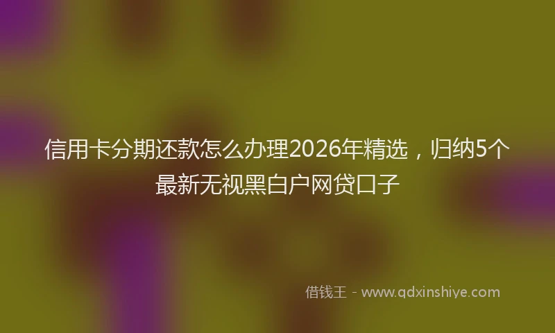 信用卡分期还款怎么办理2026年精选,归纳5个最新无视黑白户网贷口子