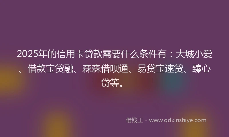 2025年的信用卡贷款需要什么条件有：大城小爱、借款宝贷融、森森借呗通、易贷宝速贷、臻心贷等。