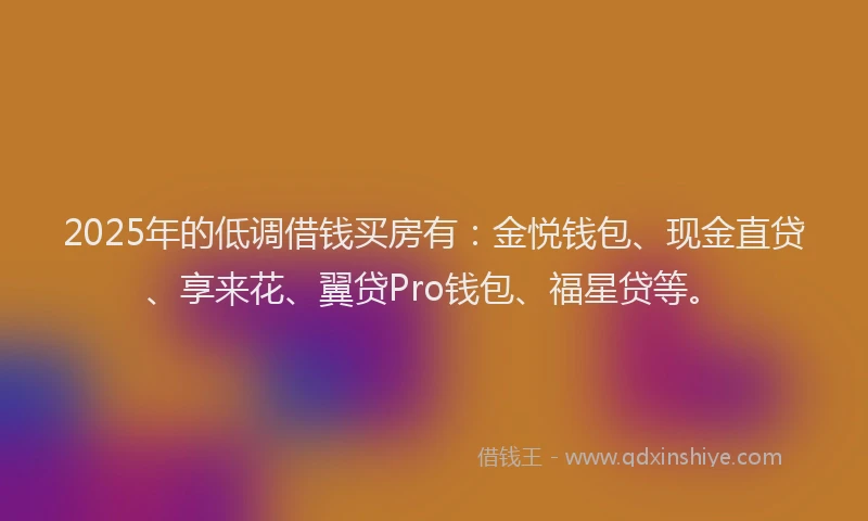 2025年的低调借钱买房有：金悦钱包、现金直贷、享来花、翼贷Pro钱包、福星贷等。