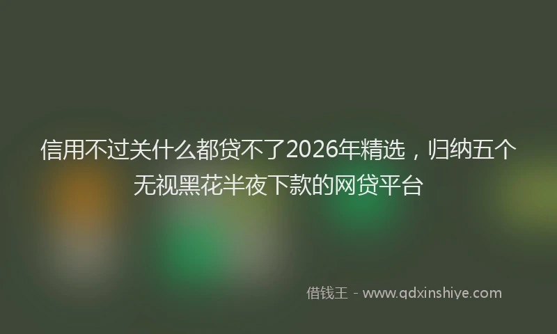 信用不过关什么都贷不了2026年精选,归纳五个无视黑花半夜下款的网贷平台