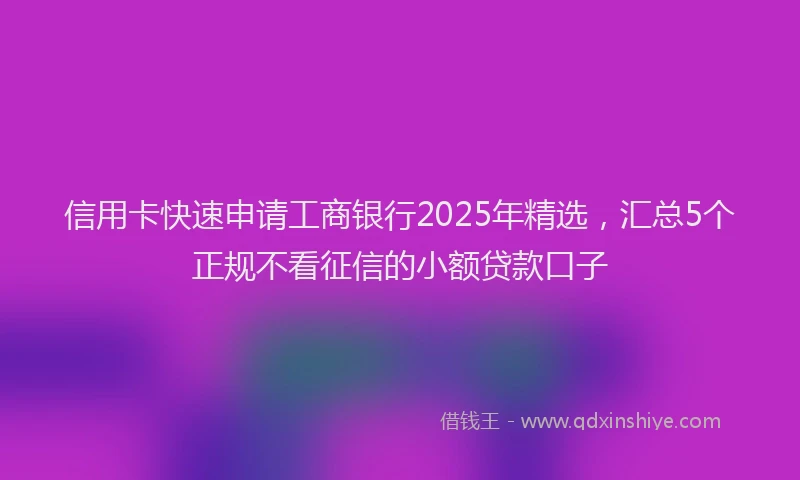 信用卡快速申请工商银行2025年精选,汇总5个正规不看征信的小额贷款口子