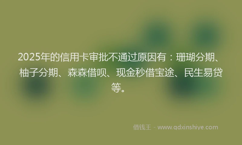 2025年的信用卡审批不通过原因有:珊瑚分期、柚子分期、森森借呗、现金秒借宝途、民生易贷等。