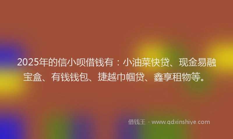2025年的信小呗借钱有：小油菜快贷、现金易融宝盒、有钱钱包、捷越巾帼贷、鑫享租物等。