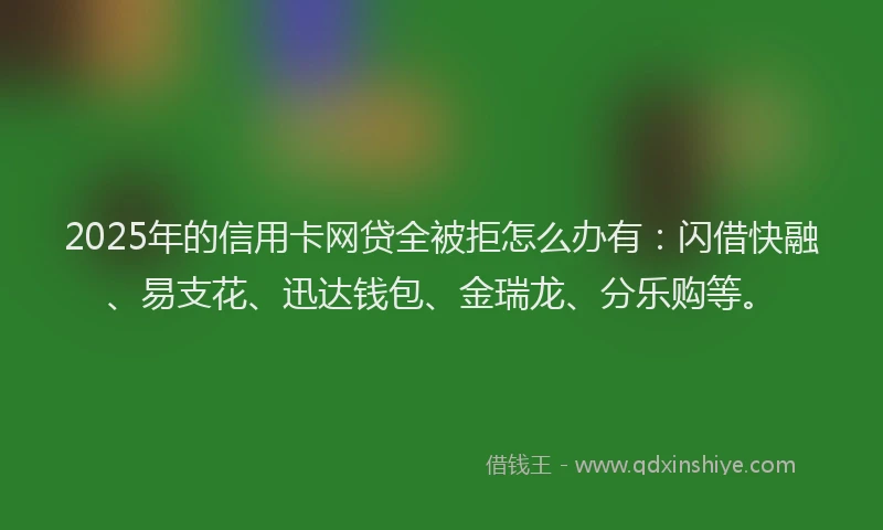 2025年的信用卡网贷全被拒怎么办有：闪借快融、易支花、迅达钱包、金瑞龙、分乐购等。