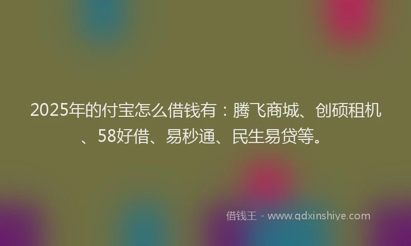 2025年的付宝怎么借钱有:腾飞商城、创硕租机、58好借、易秒通、民生易贷等。