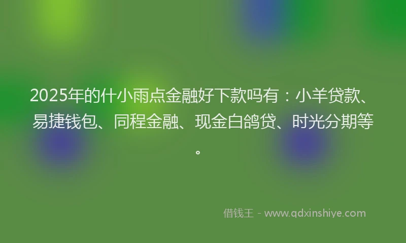2025年的什小雨点金融好下款吗有:小羊贷款、易捷钱包、同程金融、现金白鸽贷、时光分期等。