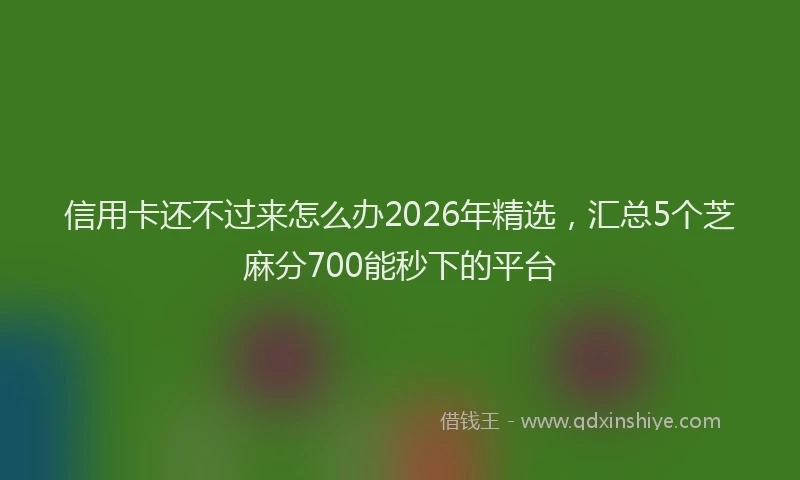 信用卡还不过来怎么办2026年精选，汇总5个芝麻分700能秒下的平台
