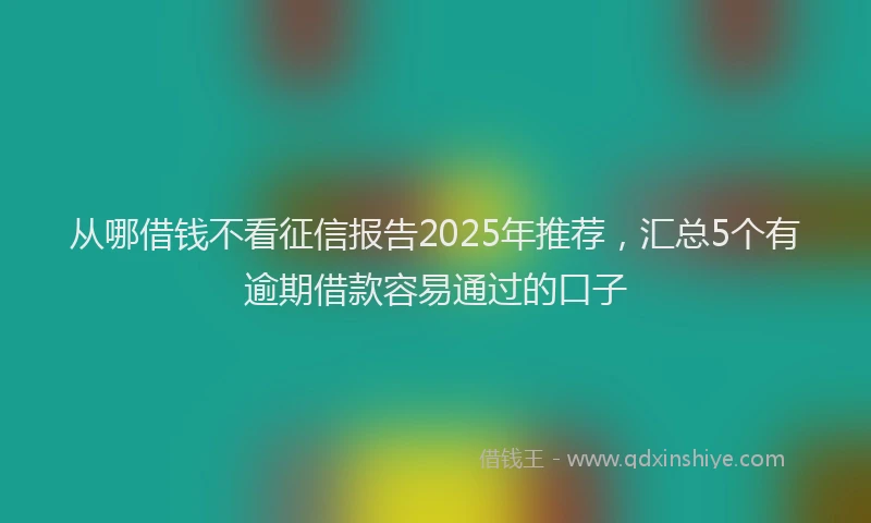 从哪借钱不看征信报告2025年推荐，汇总5个有逾期借款容易通过的口子