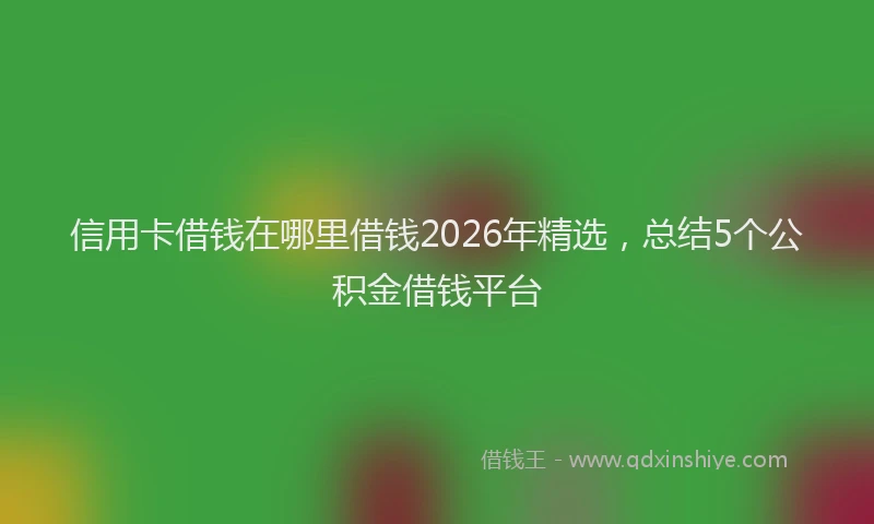 信用卡借钱在哪里借钱2026年精选，总结5个公积金借钱平台