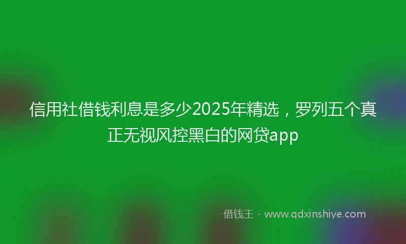 信用社借钱利息是多少2025年精选，罗列五个真正无视风控黑白的网贷app
