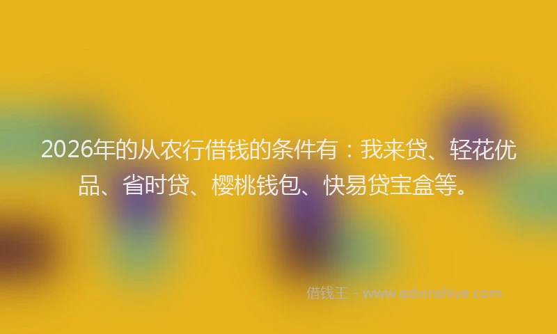 2026年的从农行借钱的条件有：我来贷、轻花优品、省时贷、樱桃钱包、快易贷宝盒等。