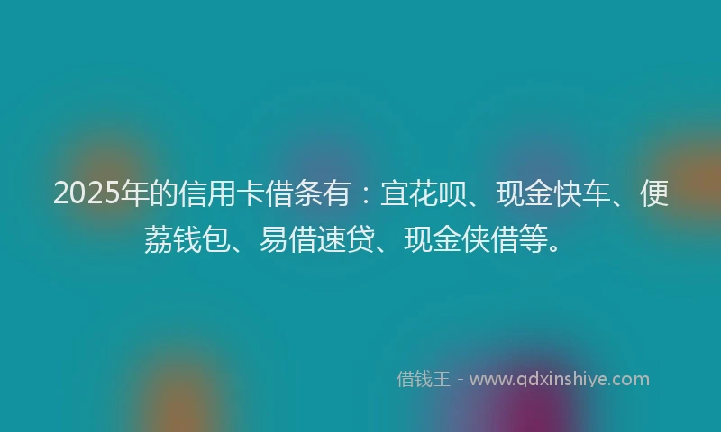 2025年的信用卡借条有：宜花呗、现金快车、便荔钱包、易借速贷、现金侠借等。