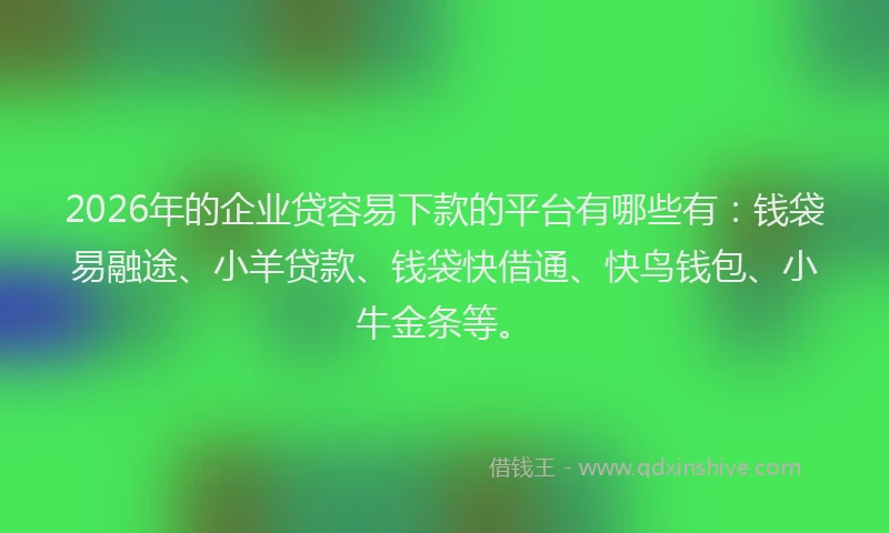 2026年的企业贷容易下款的平台有哪些有：钱袋易融途、小羊贷款、钱袋快借通、快鸟钱包、小牛金条等。