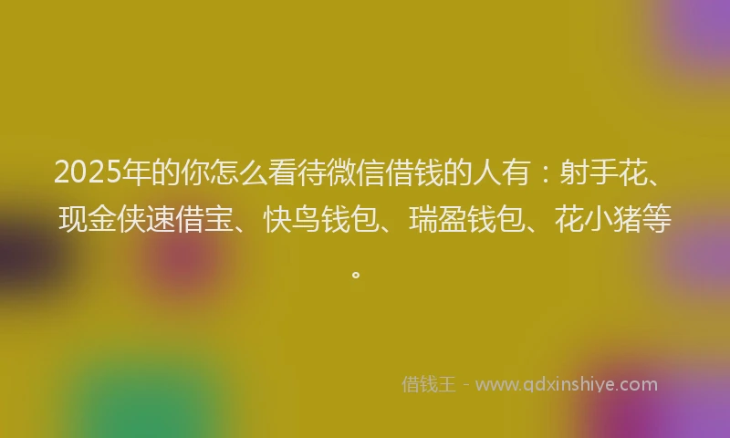 2025年的你怎么看待微信借钱的人有：射手花、现金侠速借宝、快鸟钱包、瑞盈钱包、花小猪等。