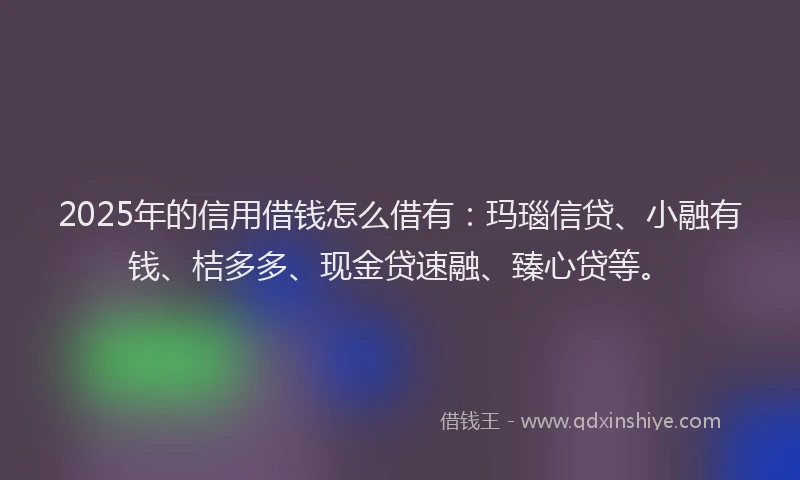 2025年的信用借钱怎么借有：玛瑙信贷、小融有钱、桔多多、现金贷速融、臻心贷等。