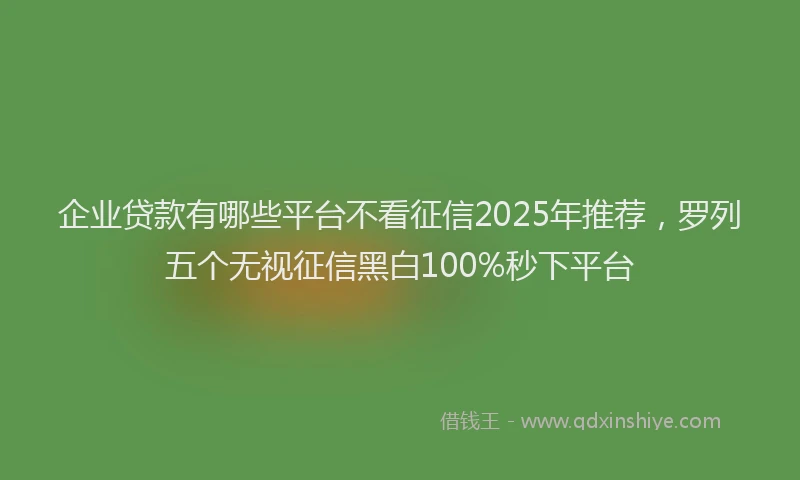 企业贷款有哪些平台不看征信2025年推荐，罗列五个无视征信黑白100%秒下平台
