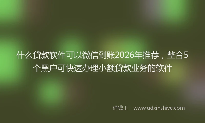 什么贷款软件可以微信到账2026年推荐,整合5个黑户可快速办理小额贷款业务的软件