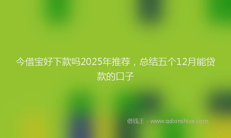 今借宝好下款吗2025年推荐，总结五个12月能贷款的口子