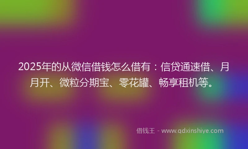 2025年的从微信借钱怎么借有：信贷通速借、月月开、微粒分期宝、零花罐、畅享租机等。