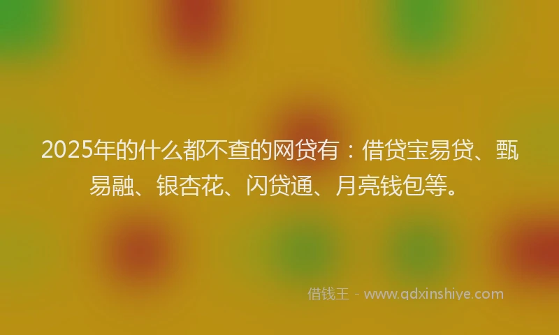 2025年的什么都不查的网贷有：借贷宝易贷、甄易融、银杏花、闪贷通、月亮钱包等。