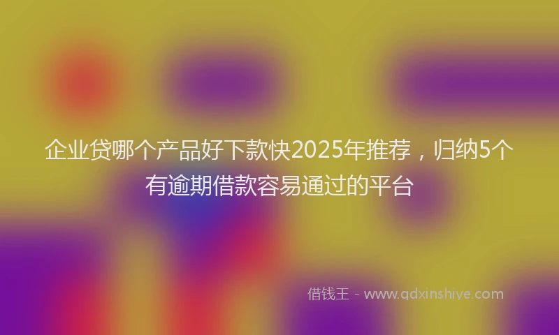 企业贷哪个产品好下款快2025年推荐，归纳5个有逾期借款容易通过的平台
