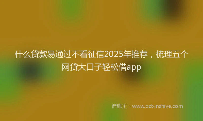 什么贷款易通过不看征信2025年推荐，梳理五个网贷大口子轻松借app