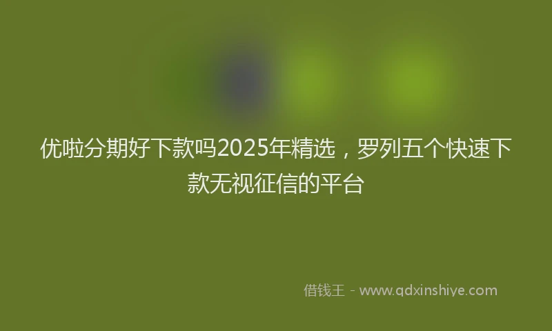 优啦分期好下款吗2025年精选，罗列五个快速下款无视征信的平台