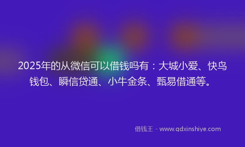 2025年的从微信可以借钱吗有:大城小爱、快鸟钱包、瞬信贷通、小牛金条、甄易借通等。