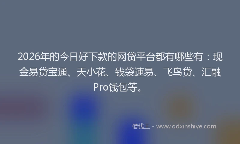2026年的今日好下款的网贷平台都有哪些有：现金易贷宝通、天小花、钱袋速易、飞鸟贷、汇融Pro钱包等。