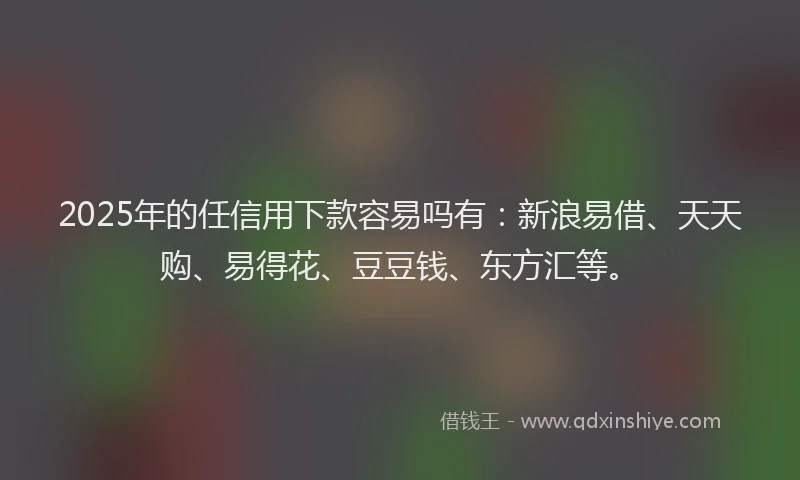 2025年的任信用下款容易吗有：新浪易借、天天购、易得花、豆豆钱、东方汇等。