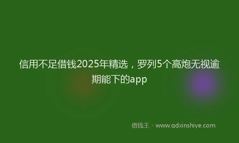 信用不足借钱2025年精选，罗列5个高炮无视逾期能下的app
